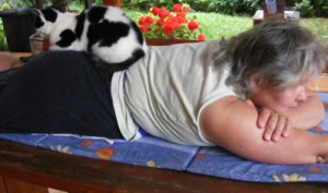 Spanni cica - Anyuka hátán
