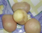 Szilvás gombóc - A zöld rész le lett vágva a krumpliról.