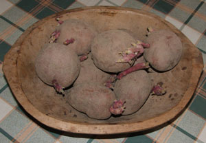 Töltött krumpli - Hozzávalók (krumpli)