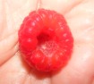 Málnalekvár - Egy szép málnaszem.