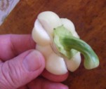 Csirkepörkölt - Pattintsd le a paprika száráról a rajta maradt karimát!