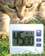 ora-45-6115 (93 x 115) Sör-rolád - Állítsd be az időzítőórát 45 percre!
