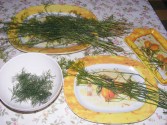 Tökfőzelék - Kaporcsipegető munkahely