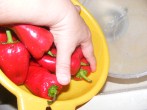 Darált paprika - Öntsd le a vizet a megmosott paprikákról!