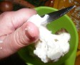 Karfiolleves - Szeleteld fel lapokra a kettéhasított tönköt! Karfiolleves - Szeleteld fel lapokra a kettéhasított tönköt!