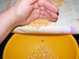 Sárgaborsó-főzelék - Söpörd a tálba a jó borsókat! Sárgaborsó-főzelék - Söpörd a tálba a jó borsókat!