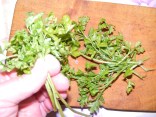 Sárgaborsó-főzelék - Rendezd csokorba a petrezselymet! Sárgaborsó-főzelék - Rendezd csokorba a petrezselymet!