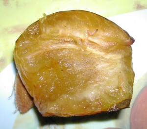 Szilvás gombóc - Kukac a szilvában.