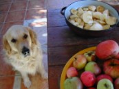 Almás pite - Még csak a fele van kész.