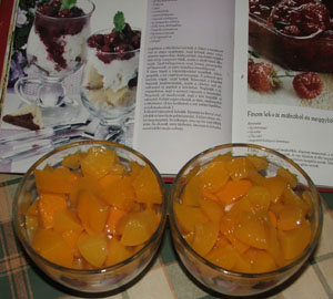 4-lepes
