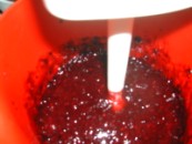 Fügelekvár - Szeder-turmixolás