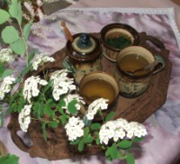Citromfű-tea - Kész, tálalva.
