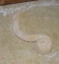 Rongyos lángos - Tekerd fel a hengert csigavonalban!