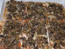 Pizza - Vágd fel!